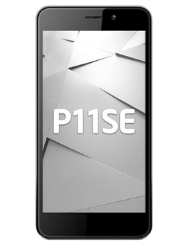 P11SE