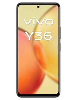 Y36