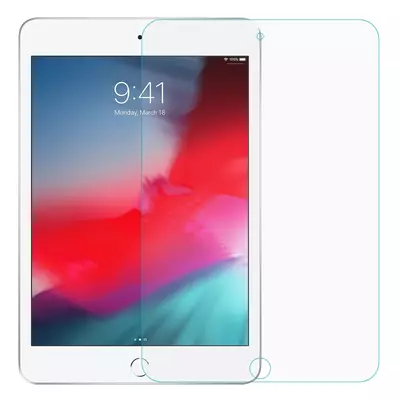 Microsonic Apple iPad Mini 5 7.9'' 2019 (A2133-A2124-A2125-A2126) Nano Cam Ekran Koruyucu