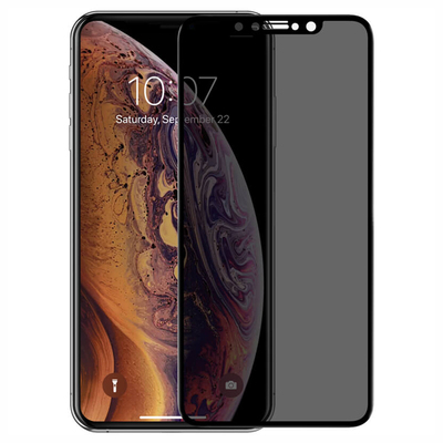 Microsonic Apple iPhone XS Max Invisible Privacy Kavisli Ekran Koruyucu Siyah