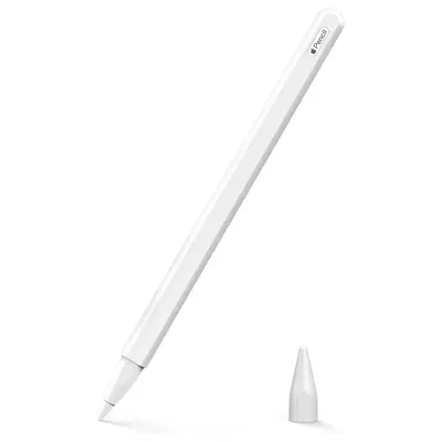 Microsonic Apple Pencil (2. nesil) Kılıf Mat Silikon V2 Beyaz