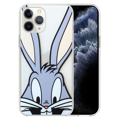 Microsonic Apple iPhone 11 Pro Desenli Kılıf Mutlu Tavşan